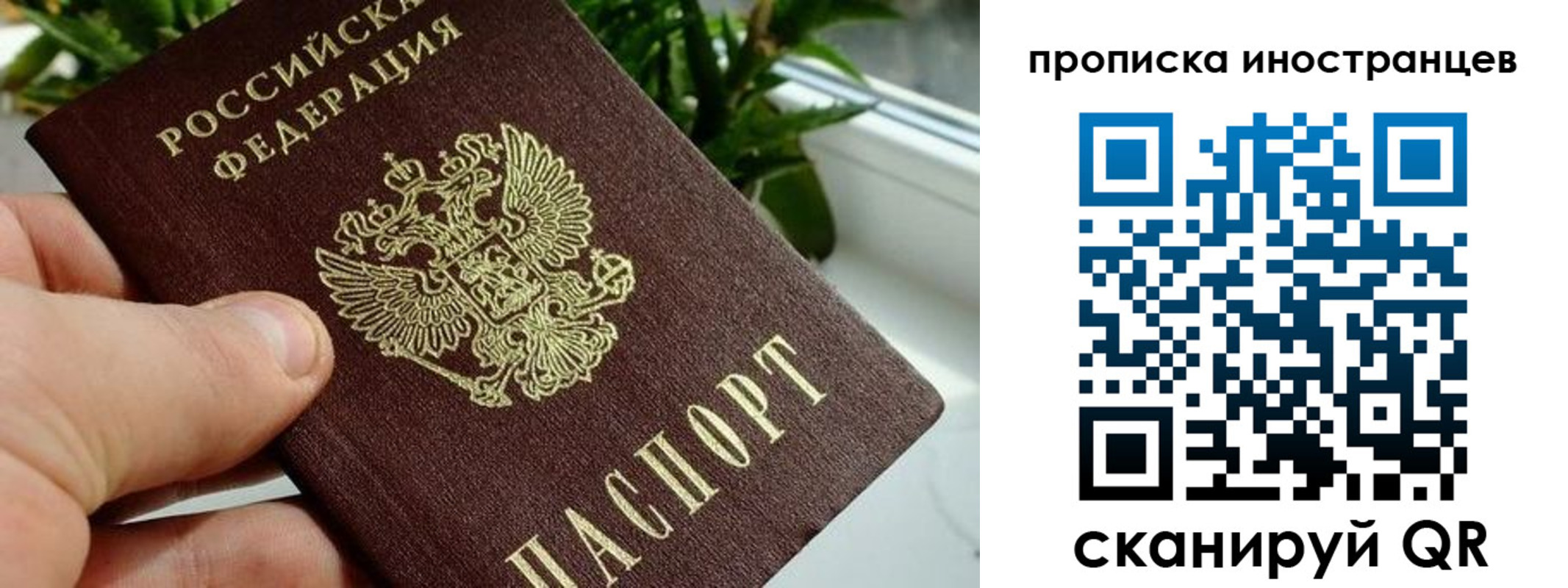 временная регистрация в Приозерске